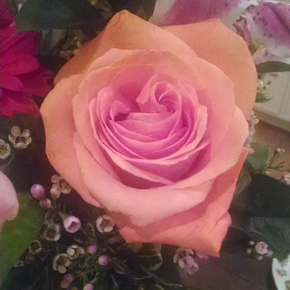 Meet your Posher, Lt - Picture 1 of 1